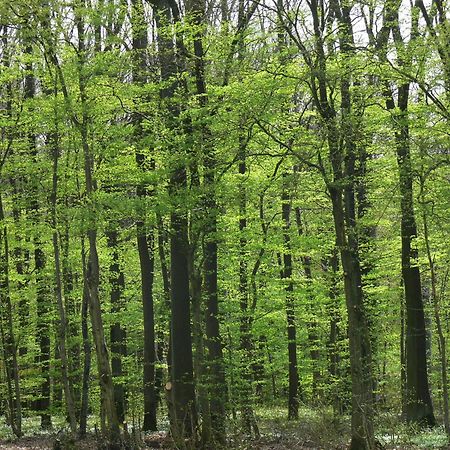 Ferienwohnungen Fischer Strullendorf Bagian luar foto