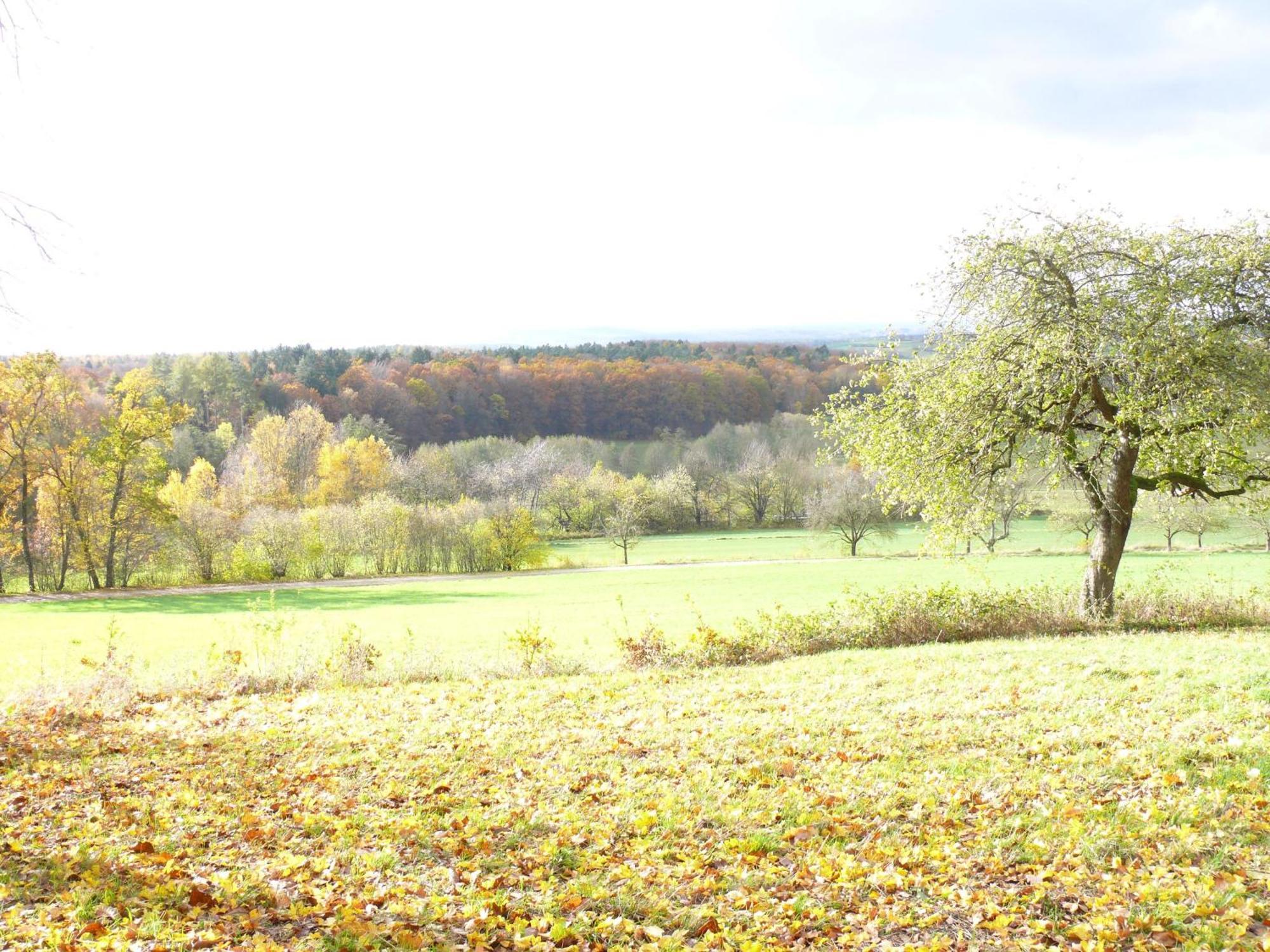 Ferienwohnungen Fischer Strullendorf Bagian luar foto